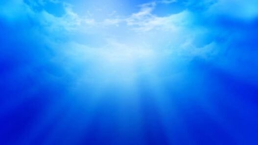 আল্লাহর জন্যই বন্ধুত্ব, আল্লাহর জন্যই শত্রুতা