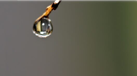 শেষ দশক: কী পেলাম, কী হারালাম?