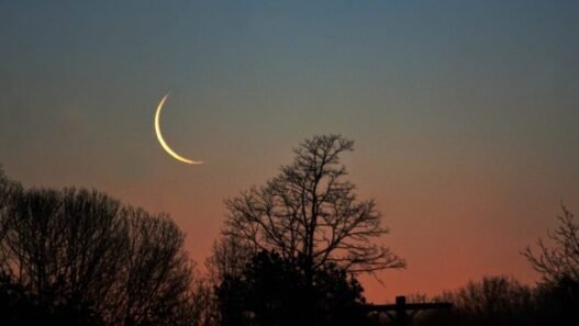 রমযানুল মুবারকের প্রস্তুতি - ৮