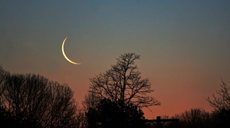 রমযানুল মুবারকের প্রস্তুতি - ৮