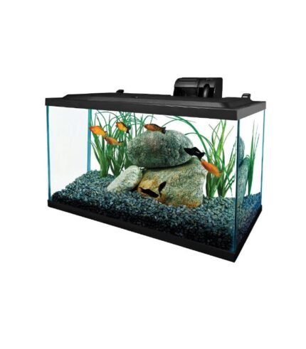 Tetra Glass Aquarium